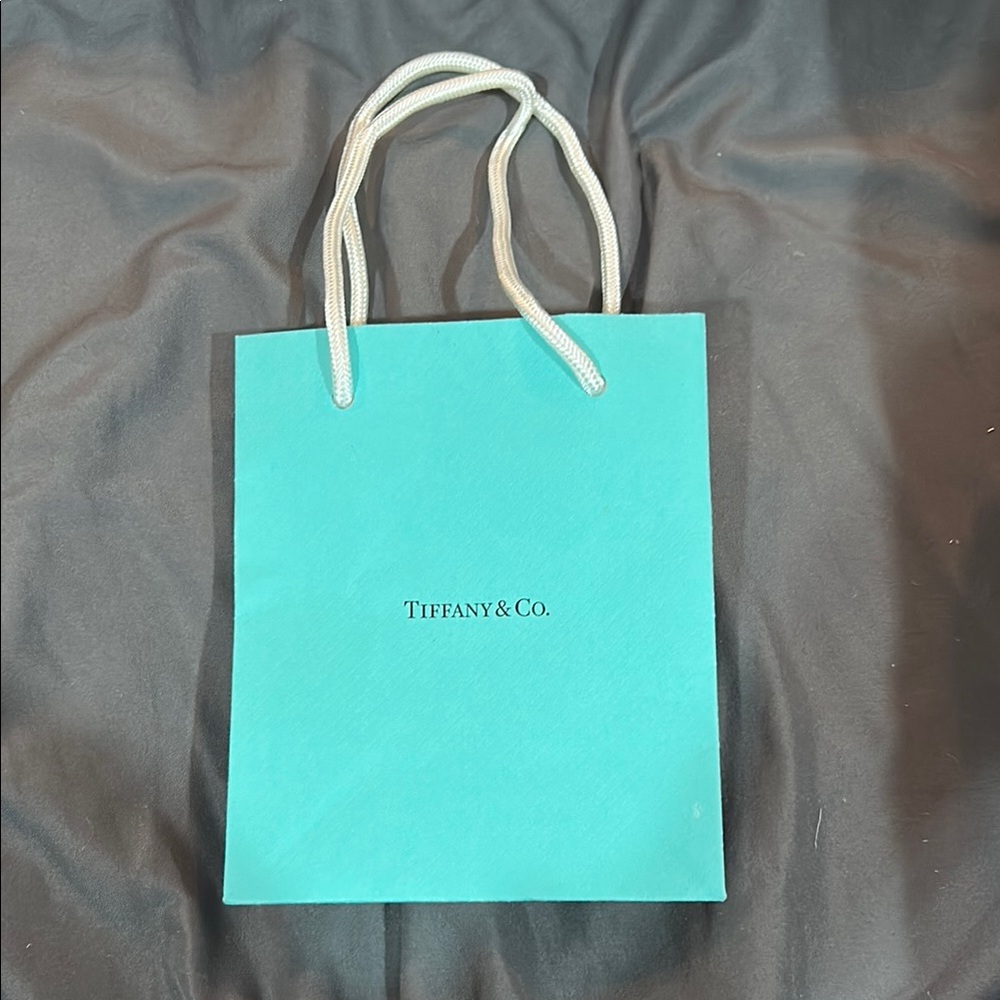 Tiffany & Co. Blue Luxury Paper Bags